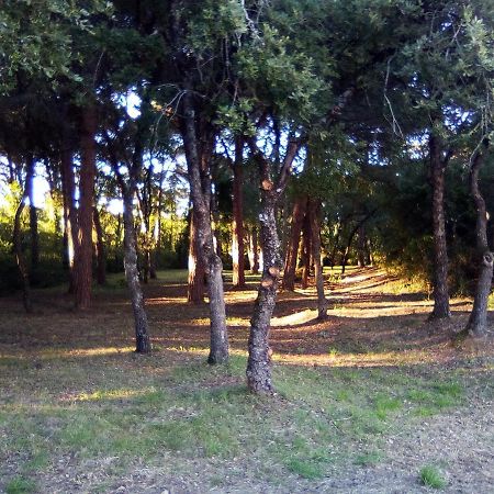 Enjoy The Best Of Countryside Leiria Kültér fotó