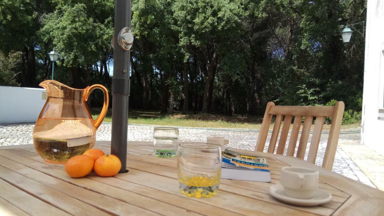 Enjoy The Best Of Countryside Leiria Kültér fotó
