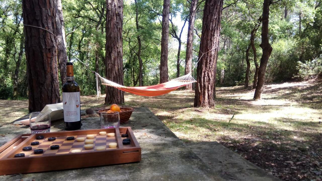 Enjoy The Best Of Countryside Leiria Kültér fotó